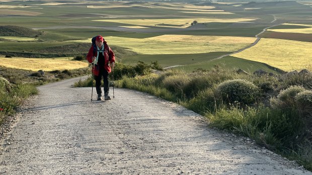 Chris Haywood incarne son ami réalisateur Bill Bennett dans le film The Way, My Way.