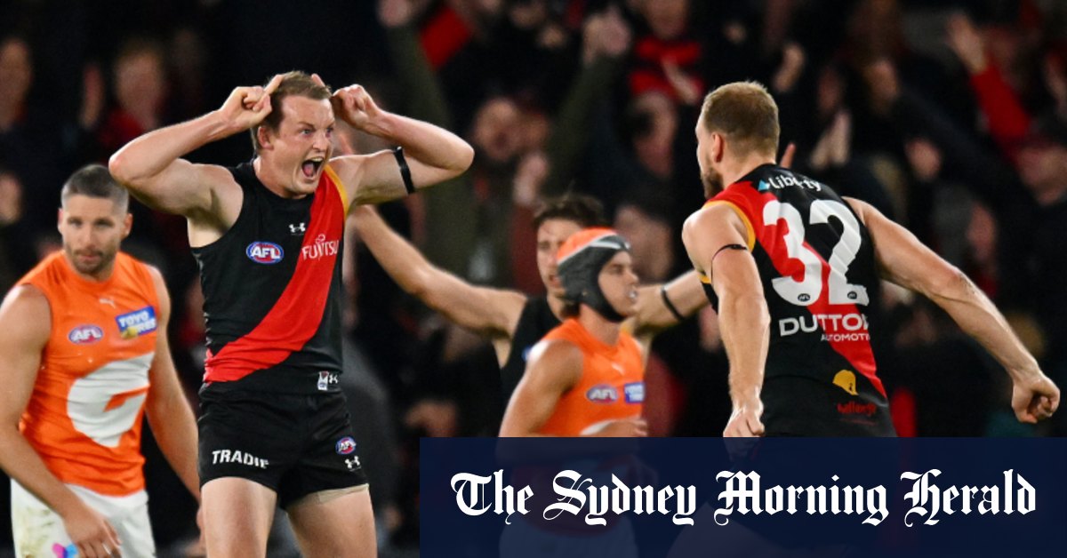 Les signes des Essendon Bombers sont la vraie affaire ;  Tigres de Richmond ;  Chats Geelong ;  Jérémie Cameron ;  Faucons d'aubépine