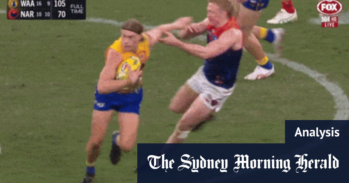 La statistique qui montre que le milieu de terrain des West Coast Eadgles, Harley Reid, est vraiment le nouveau Dustin Martin
