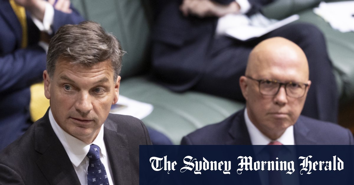 Le trésorier fantôme Angus Taylor change le scénario des réductions de l'immigration de Peter Dutton