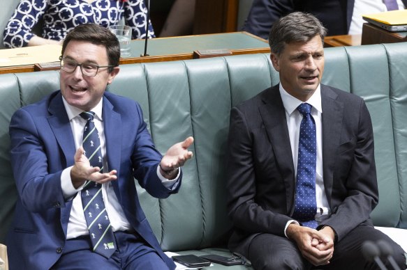 Le leader national David Littleproud et le trésorier fantôme Angus Taylor lors de l’heure des questions le mois dernier.