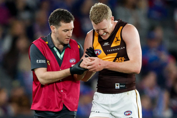 James Sicily revient dans le line-up Hawthorn ce week-end.