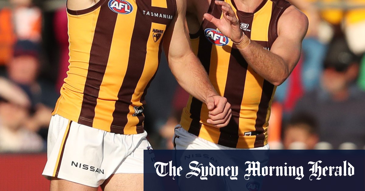 La Commission australienne des droits de l'homme met fin à la plainte pour racisme des Hawthorn Hawks