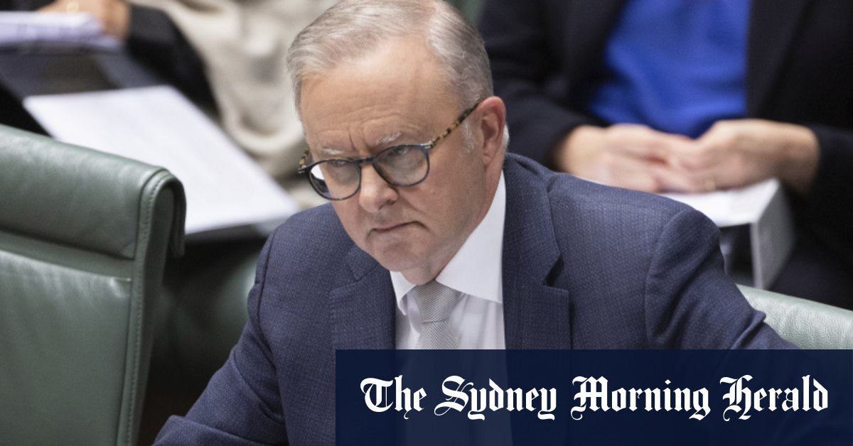 Anthony Albanese dit que la crise des expulsions est due au tribunal empilé par la Coalition