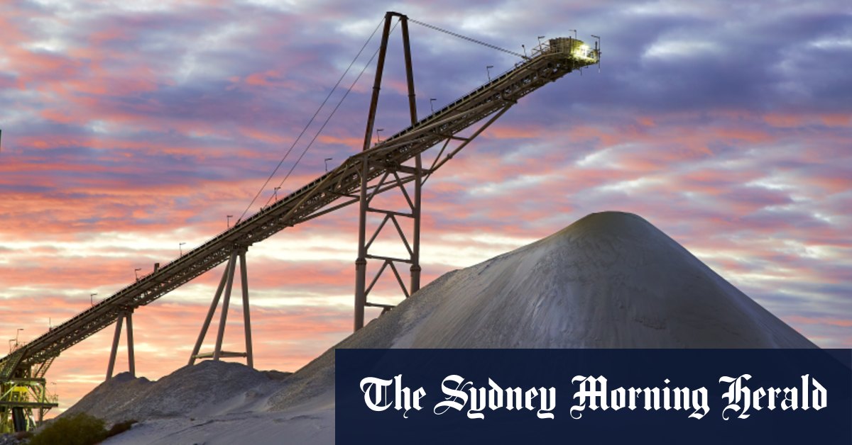 Les économistes soutiennent le plan de 23 milliards de dollars d'Anthony Albanese