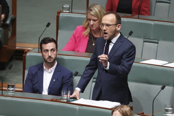 Adam Bandt à la Chambre des représentants mercredi.
