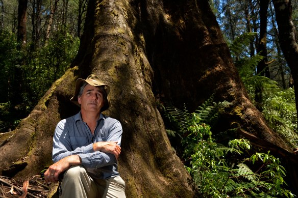 Le scientifique David Lindenmayer à Healesville.