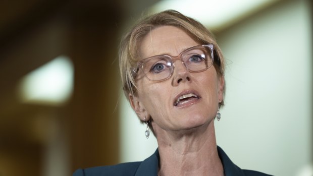 La députée indépendante Zoe Daniel, de couleur bleu sarcelle, affirme que les électeurs de la coalition dans sa partie de Melbourne ne seront probablement pas influencés par les propositions de Dutton.