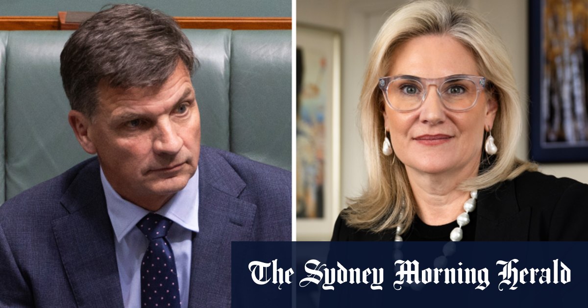 Peter Dutton soutient Angus Taylor après les critiques de Hollie Hughes