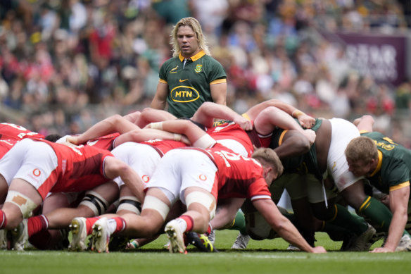 Les Wallabies verront la mêlée galloise comme un domaine qu'ils pourront exploiter lors des tests du mois prochain.