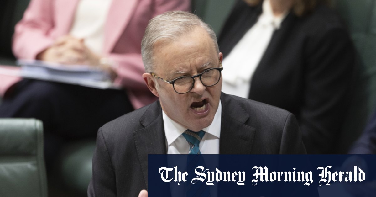 Anthony Albanese fustige les géants des réseaux sociaux