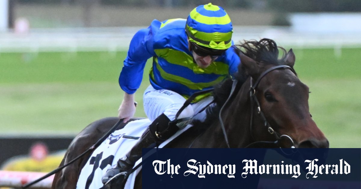Aperçu course par course et conseils pour la réunion de samedi à Randwick
