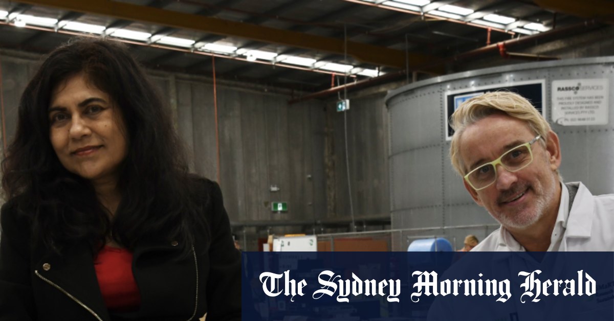 Ces plastiques étaient « non recyclables ». Une invention australienne change la donne