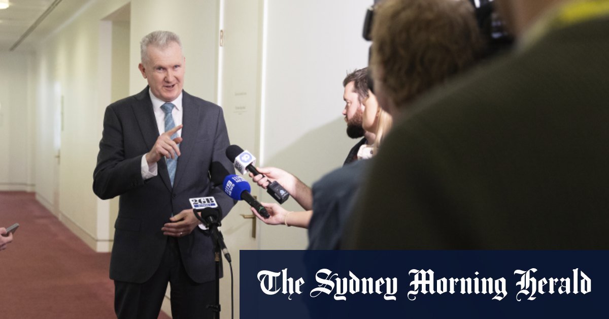 La radiation de la division de construction du CFMEU envisagée par le ministre des Relations de travail Tony Burke