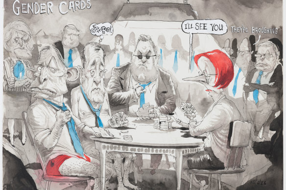  Cartes de genre de David Rowe, présentées dans l'Australian Financial Review en 2013.