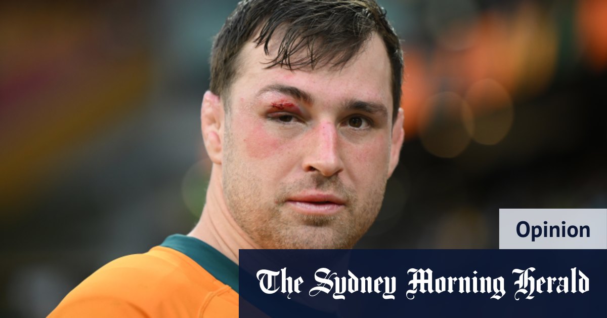 Les Wallabies sur la toile après une lourde défaite face à l'Afrique du Sud