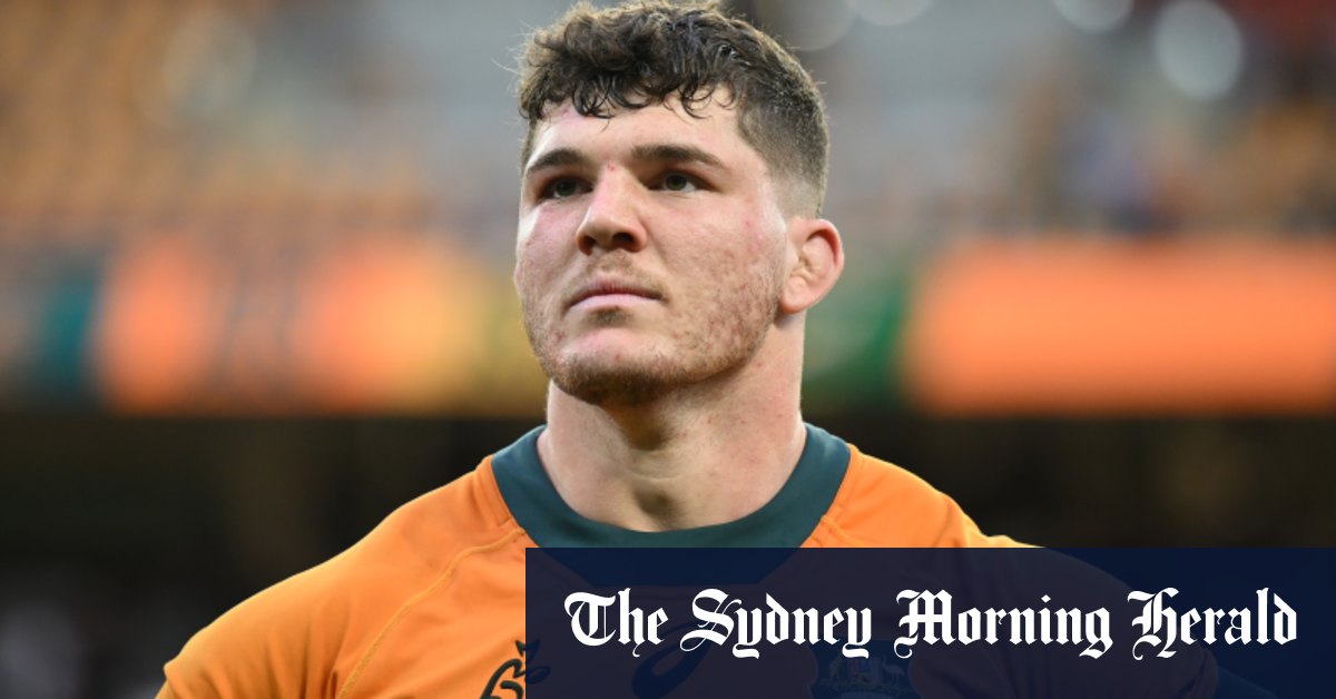 Les Wallabies d'Australie occidentale ont désespérément besoin d'une suite pour les Springboks