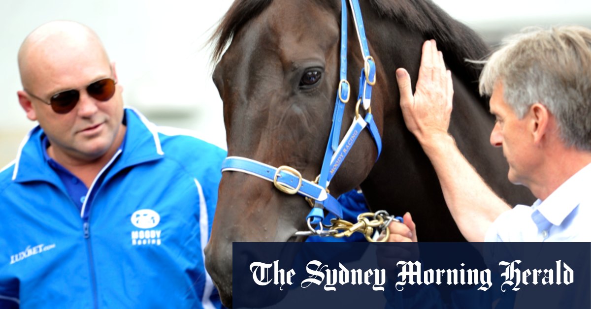 L'entraîneur Peter Moody se souvient du légendaire Black Caviar