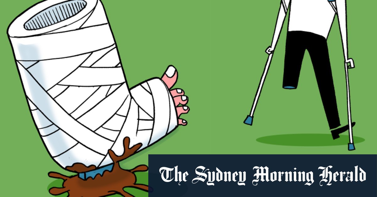 Gourou moderne : ramasser les crottes de chien - Go Australie