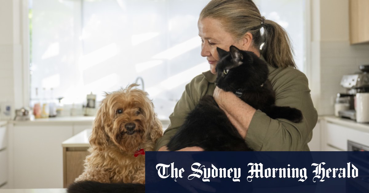 Les lois sur les chats domestiques pourraient inclure des couvre-feux et un plafond pour leur nombre, déclare la ministre de l'Environnement Tanya Plibersek