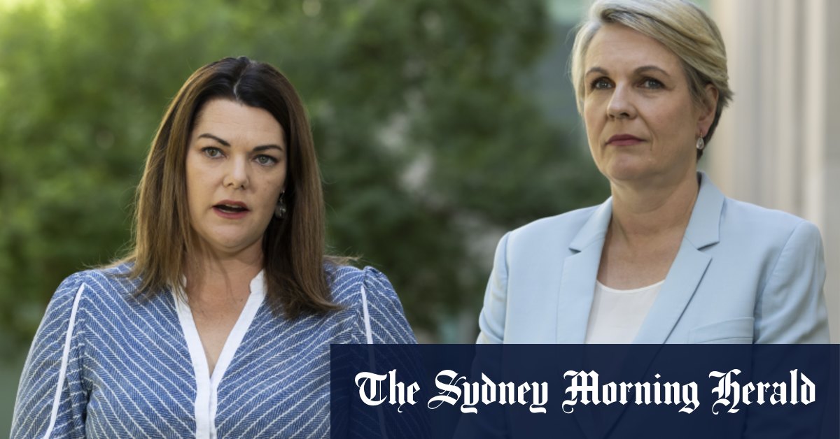 Les Verts lancent un ultimatum à Plibersek pour sévir contre la foresterie et les énergies fossiles