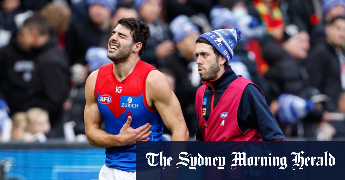 Le traitement réservé à Christian Petracca, star des Melbourne Demons, fera l'objet d'une enquête du patron de l'AFLPA, Paul Marsh