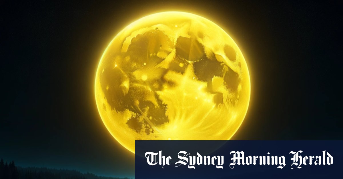 Marmota lance le forage aurifère en Afrique du Sud à Campfire Bore