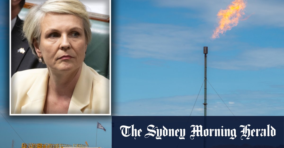 Tanya Plibersek intervient dans les projets gaziers de Beetaloo
