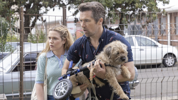 Harriet Dyer et Patrick Brammall avec leur co-star canine dans Colin de Accounts.