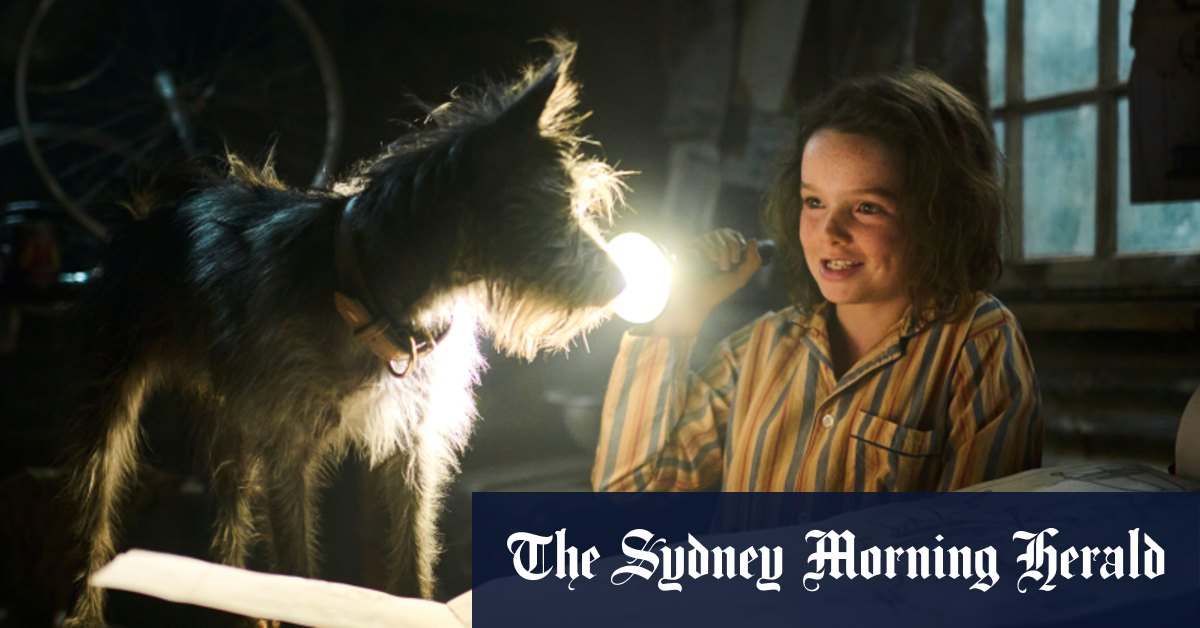 Rencontrez la nouvelle star canine d'Australie