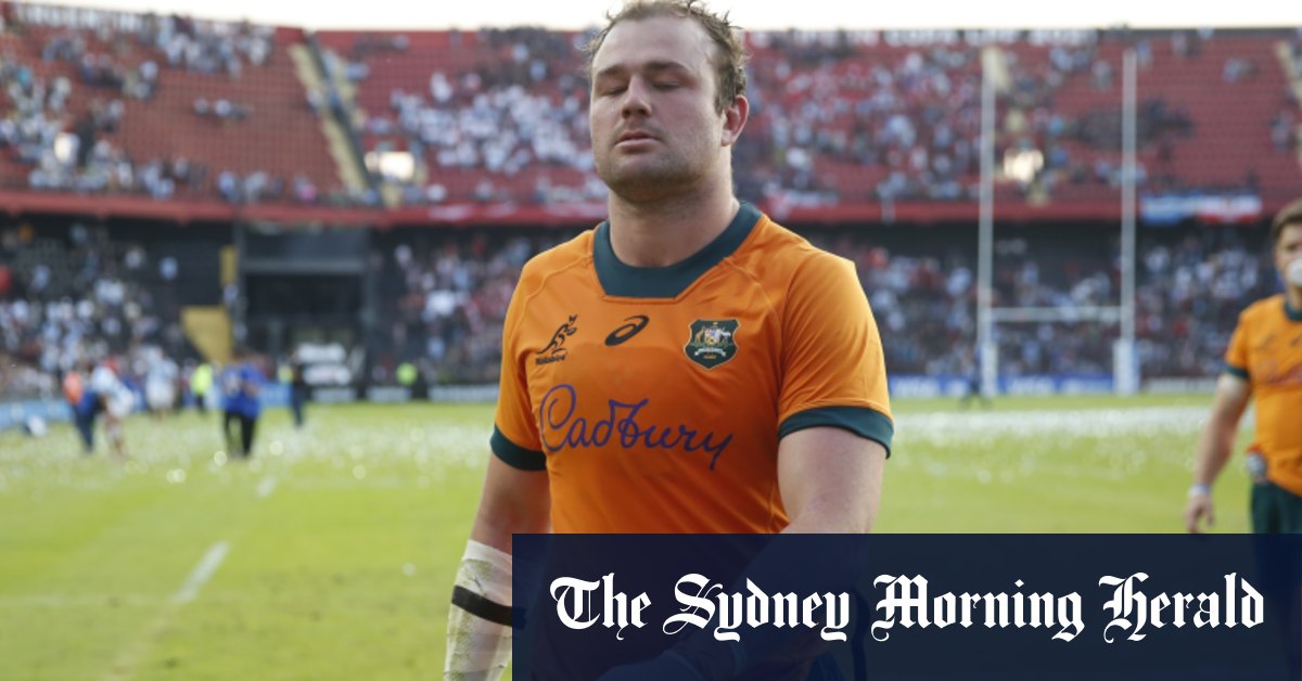 Le changement qui a transformé le capitaine Harry Wilson, de simple rebut des Wallabies à conquérant du hoodoo