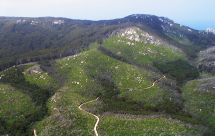 Cette section de Wilson's Prom, à l'extrémité sud de l'État, présente des forêts effondrées que les gardes forestiers de Parks Victoria s'efforcent de réensemencer dans le cadre d'un essai.