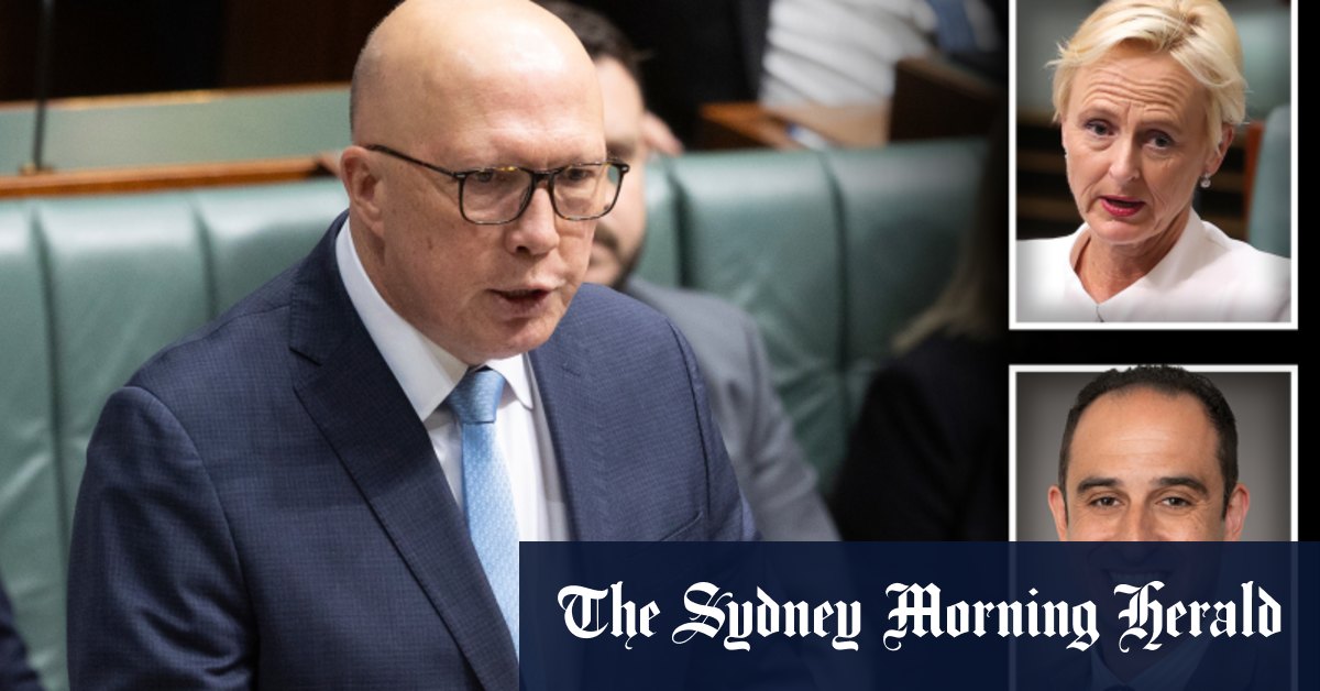 L'intervention de Peter Dutton suscite la colère des libéraux dans une circonscription clé de Melbourne