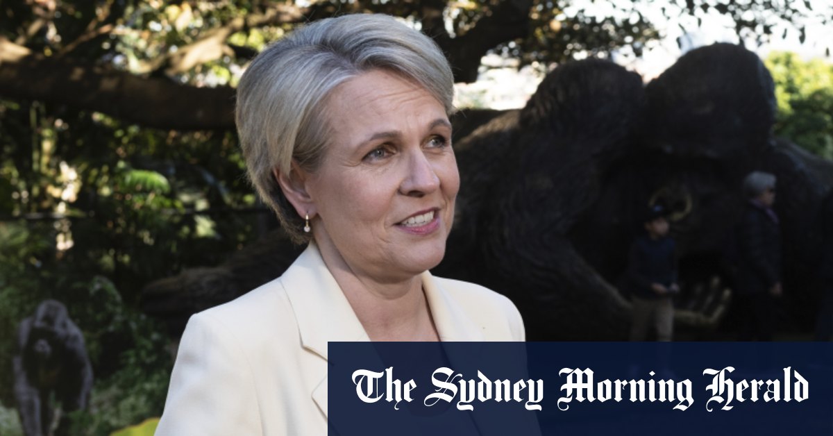 Plibersek approuve trois projets de charbon alors que les réformes vertes stagnent