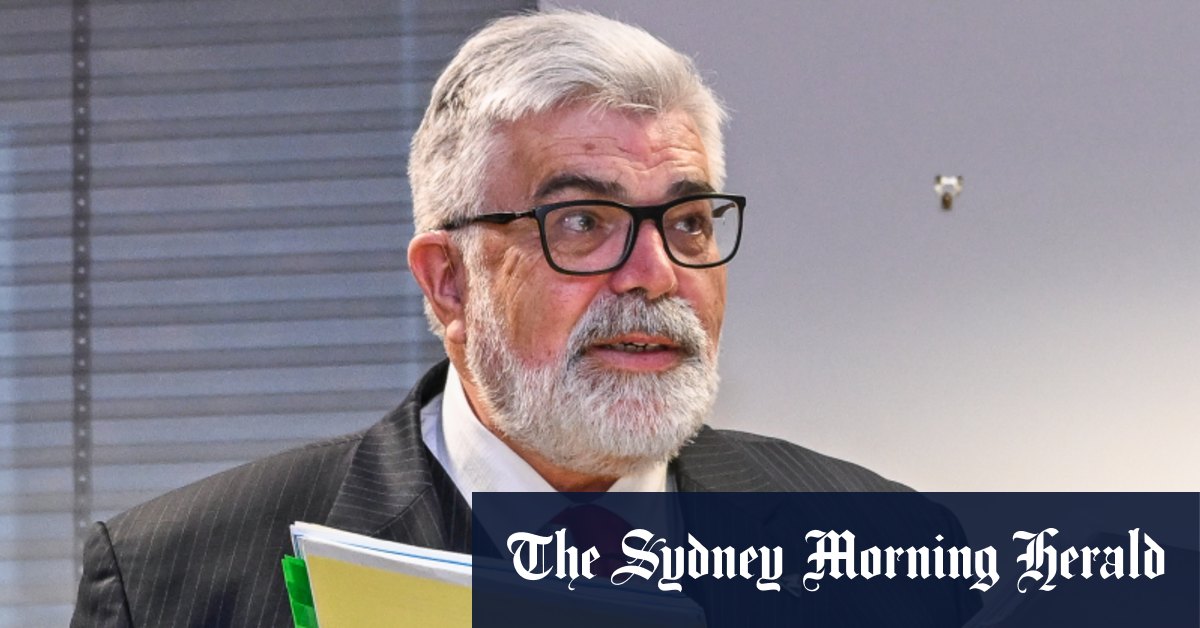 Kim Carr affirme que la stratégie du gouvernement albanais visant les petites cibles risque de "catastrophe" pour l'avenir du Parti travailliste