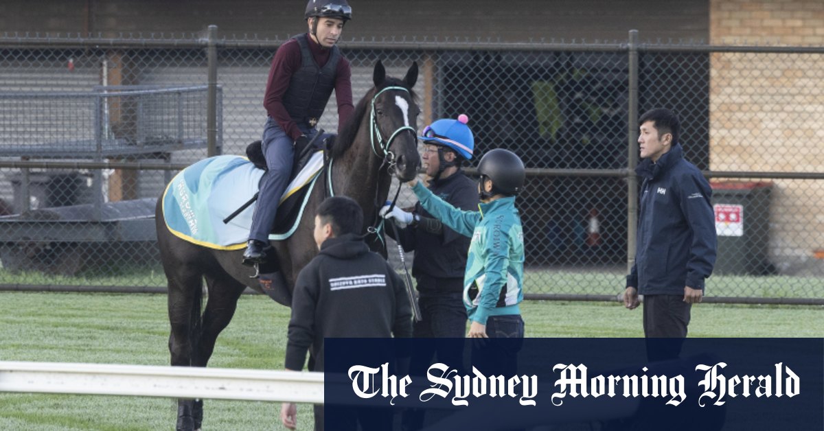 Pourquoi l'Australian Turf Club encouragera les raiders japonais