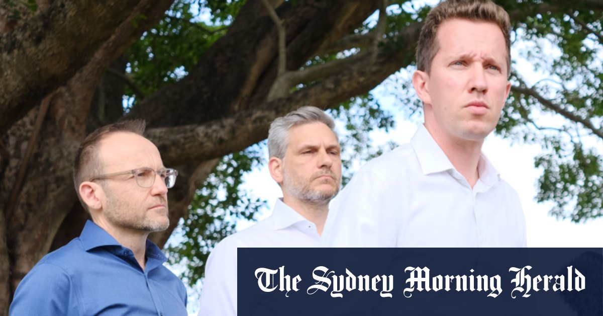 Les Verts appellent à réfléchir sérieusement à un résultat décevant