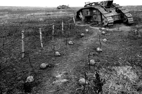 Les chars britanniques manœuvrent à travers les mines terrestres et les barbelés sur la ligne Hindenburg.