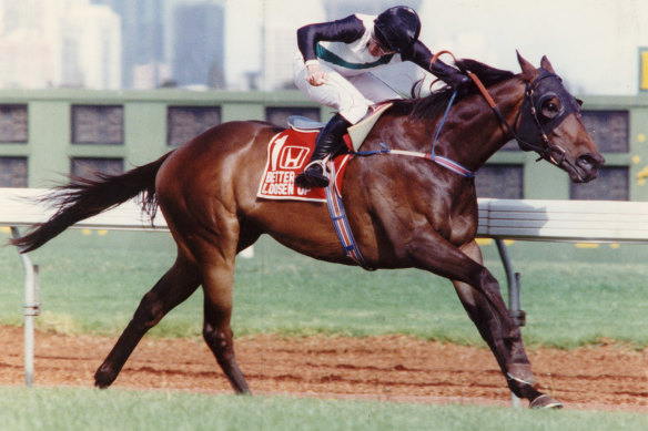 Better Loosen Up a remporté le Cox Plate et la Coupe du Japon en 1990 pour David Hayes.