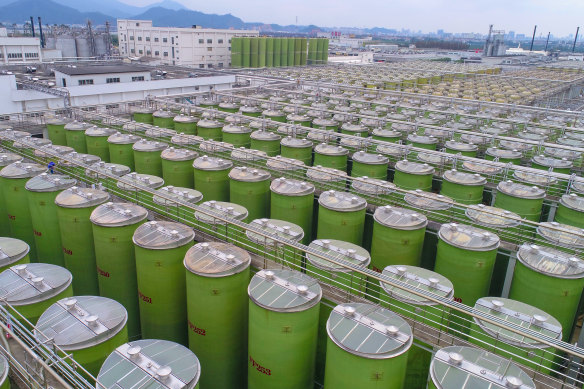 Réservoirs de sauce soja dans l'usine de production de Lee Kum Kee à Xinhui, en Chine. Les réservoirs s'étendent sur 1,33 million de mètres carrés.