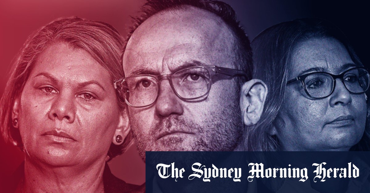 Les Verts et Adam Bandt critiqués par les électeurs : Resolve Political Monitor