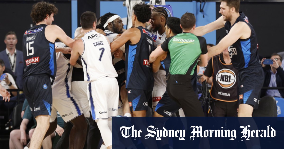 Un importateur américain défend ses actions lors d'une bagarre sur le terrain de basket-ball