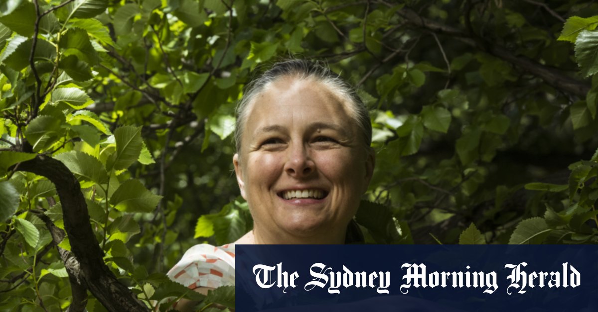 Ilots de chaleur : zones sans arbres à Sydney et Melbourne