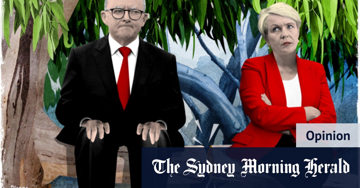 Albanese a jeté Plibersek – et nous tous – sous le bus