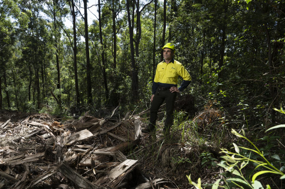 Dean Caton, directeur de la région nord de NSW Forestry Corporation, dans la forêt d'État d'Orara East, qui fait partie de la zone d'évaluation du parc national du Grand Koala.