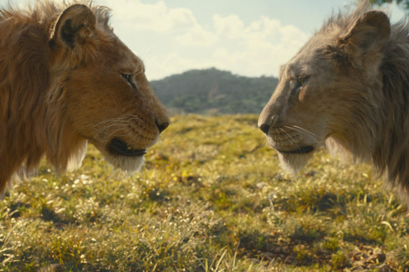 Mufasa (exprimé par Aaron Pierre) et Taka (exprimé par Kelvin Harrison Jr.) dans le live-action de Disney Mufasa : Le Roi Lion.