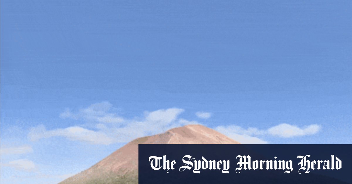 Les musées australiens déploient des tactiques « à succès » pour tenter de rivaliser avec un paysage surpeuplé