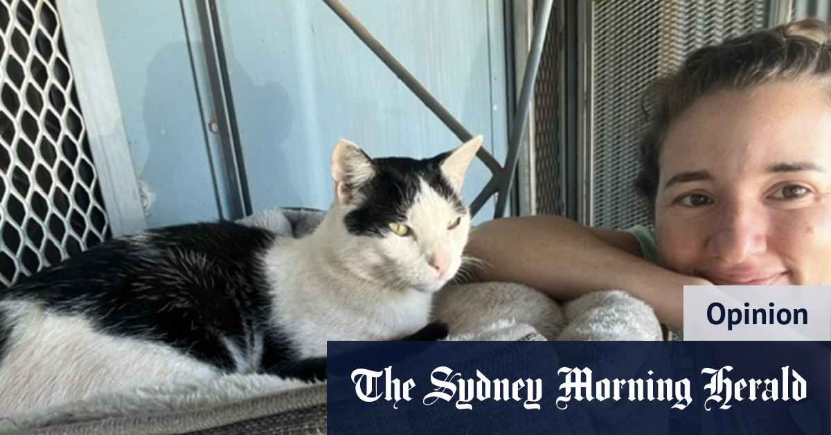 Notre maison du Territoire du Nord est venue avec un chat local qui était resté