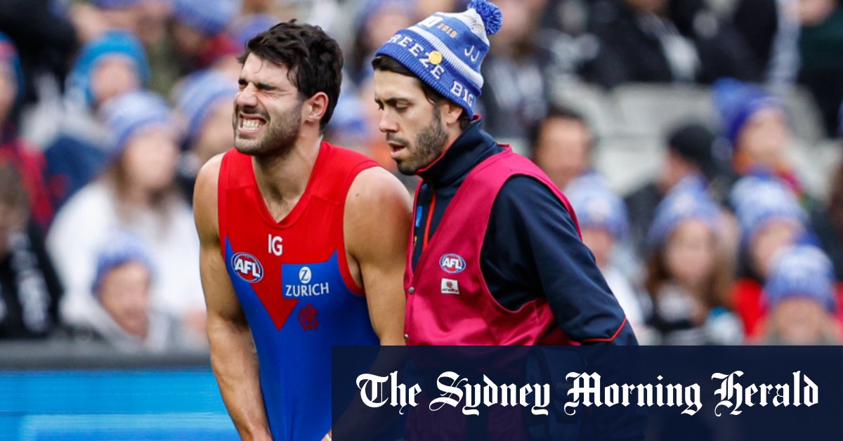 Les Démons de Melbourne n'auraient pas renvoyé Christian Petracca sur le terrain après le King's Birthday Clash