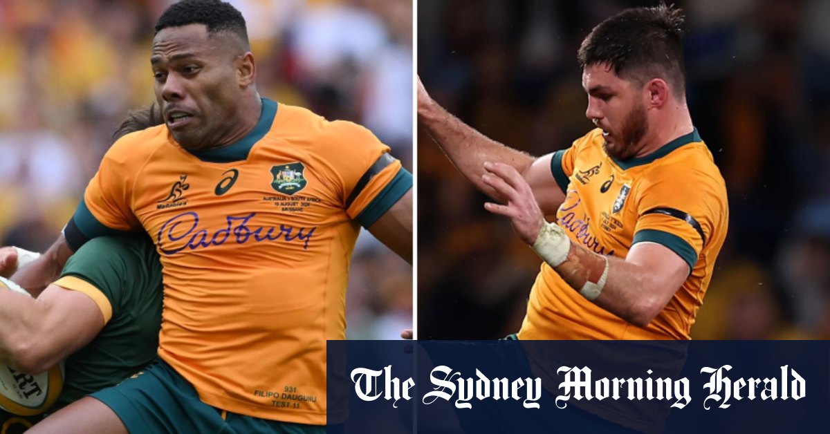 Le sort des blessures des stars des Wallabies Filipo Daugunu et Liam Wright révélé aux Queensland Reds